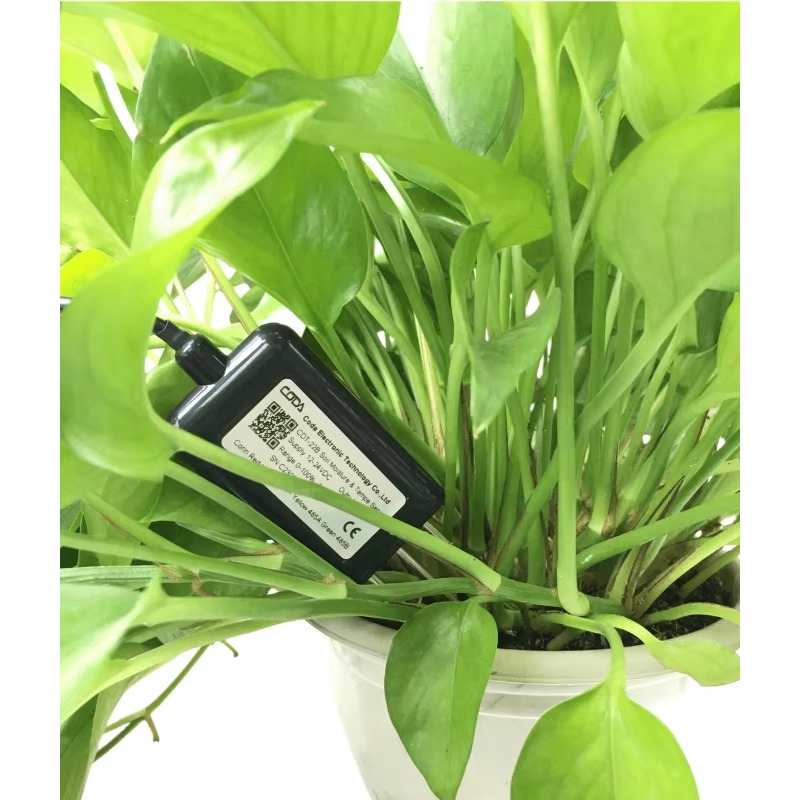 RS485 4-20mA Portable Soil Moi - Temperature Humidity Sensor reseña y precio
