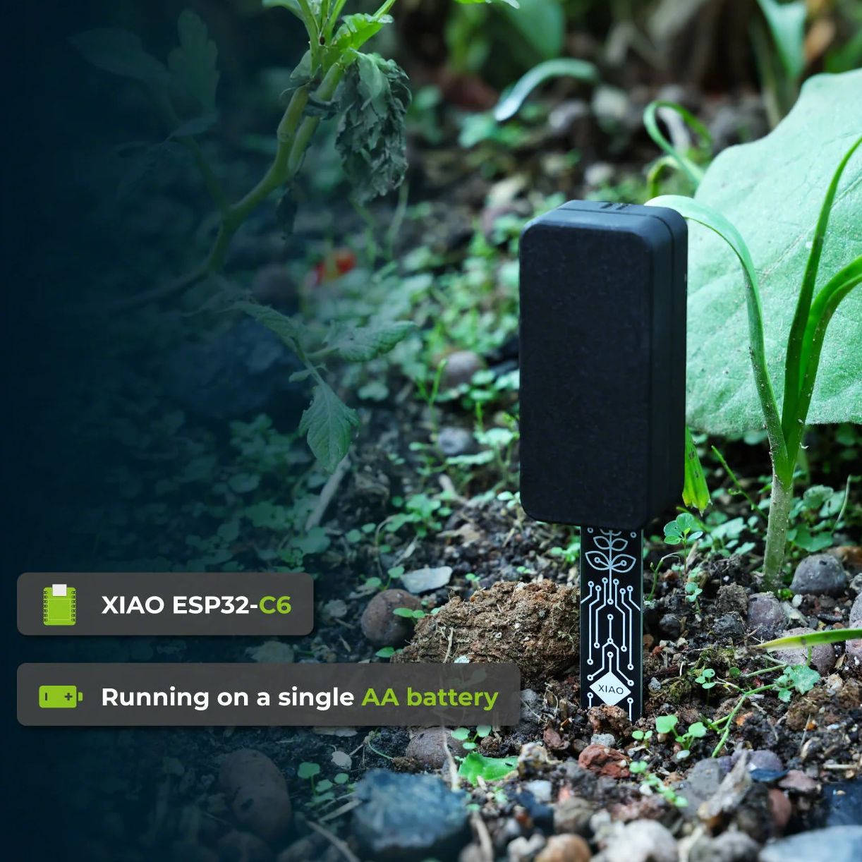 XIAO ESP32 C6 Soil Moisture Se - Home Automation Tutorial reseña y precio